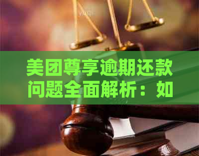 美团尊享逾期还款问题全面解析：如何应对、逾期后果与解决方法