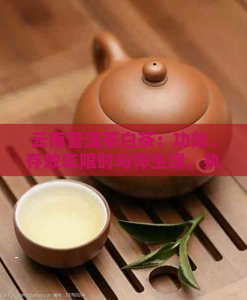 云南普洱茶白茶：功效、存放年限时与伴生缘，执行标准与最差料疑问解答