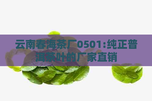 云南春海茶厂0501:纯正普洱茶叶的厂家直销