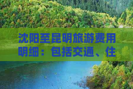 沈阳至昆明旅游费用明细：包括交通、住宿、餐饮等各项花费及预订优惠策略