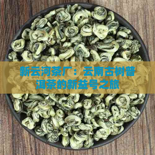 新云河茶厂：云南古树普洱茶的新益号之旅