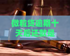 微粒贷逾期十天后还款是否允及安全性：真实情况解析