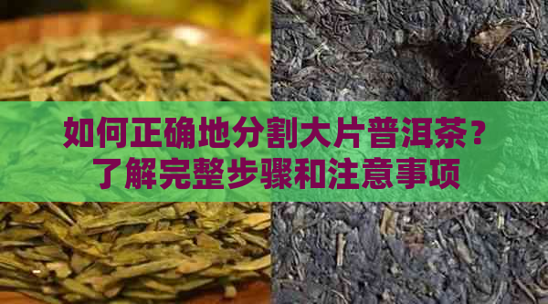 如何正确地分割大片普洱茶？了解完整步骤和注意事项