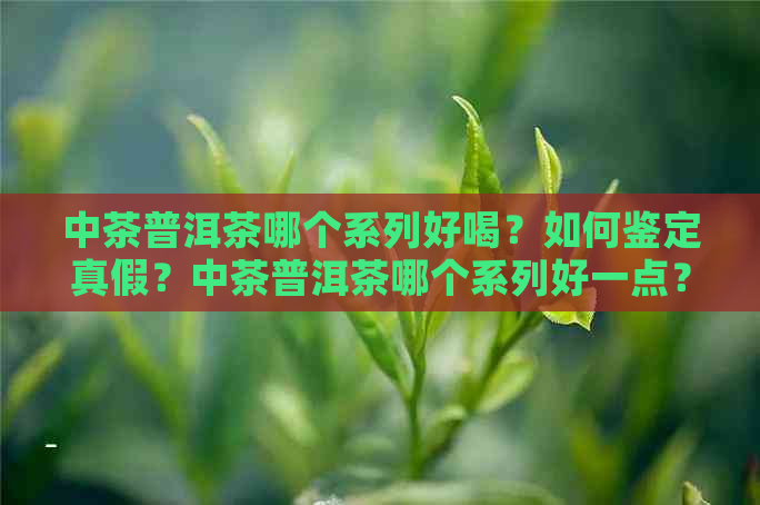 中茶普洱茶哪个系列好喝？如何鉴定真假？中茶普洱茶哪个系列好一点？