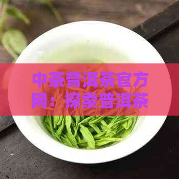 中茶普洱茶官方网：探索普洱茶的魅力、品种与泡法，解答您的所有疑问