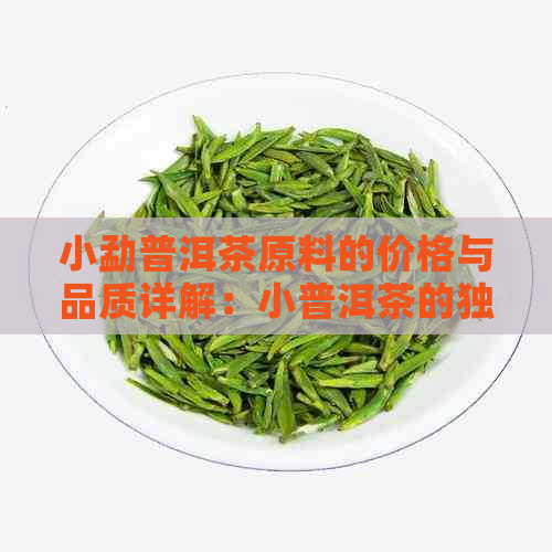 小勐普洱茶原料的价格与品质详解：小普洱茶的独特魅力