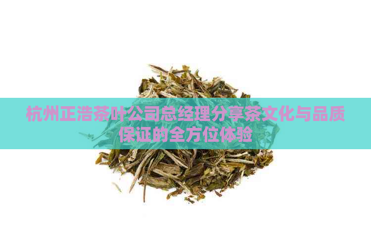 杭州正浩茶叶公司总经理分享茶文化与品质保证的全方位体验