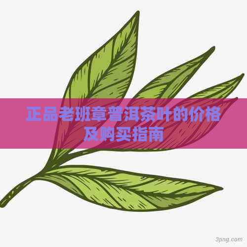 正品老班章普洱茶叶的价格及购买指南