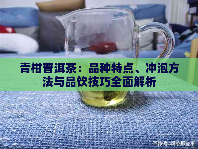 青柑普洱茶：品种特点、冲泡方法与品饮技巧全面解析