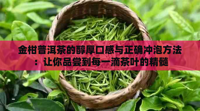 金柑普洱茶的醇厚口感与正确冲泡方法：让你品尝到每一滴茶叶的精髓