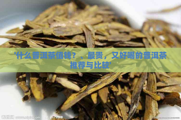 '什么普洱茶值钱？、最贵，又好喝的普洱茶推荐与比较'