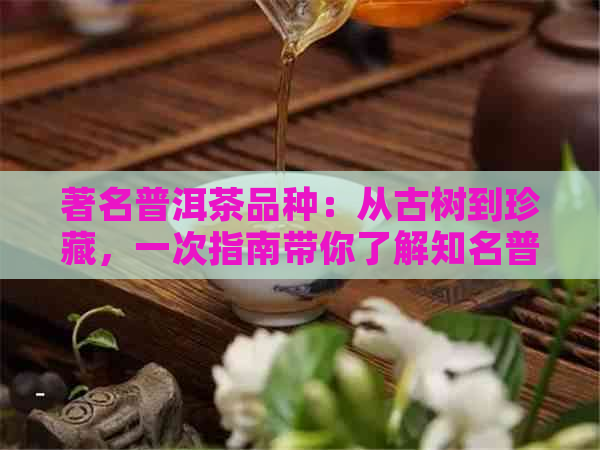 著名普洱茶品种：从古树到珍藏，一次指南带你了解知名普洱茶