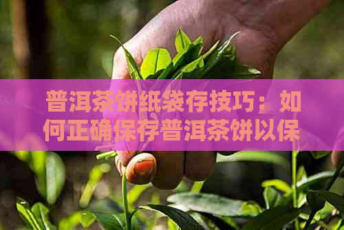 普洱茶饼纸袋存技巧：如何正确保存普洱茶饼以保持其品质和口感