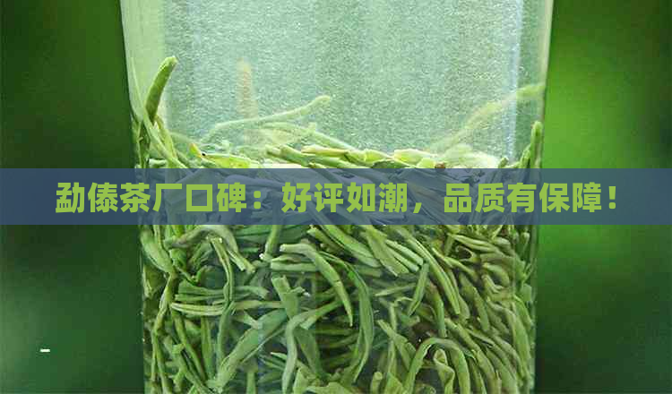 勐傣茶厂口碑：好评如潮，品质有保障！