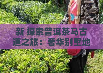 新 探索普洱茶马古道之旅：奢华别墅地址与历文化的完美融合