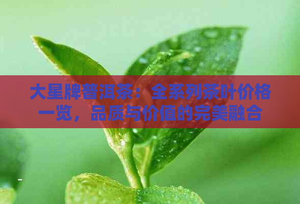 大星牌普洱茶：全系列茶叶价格一览，品质与价值的完美融合