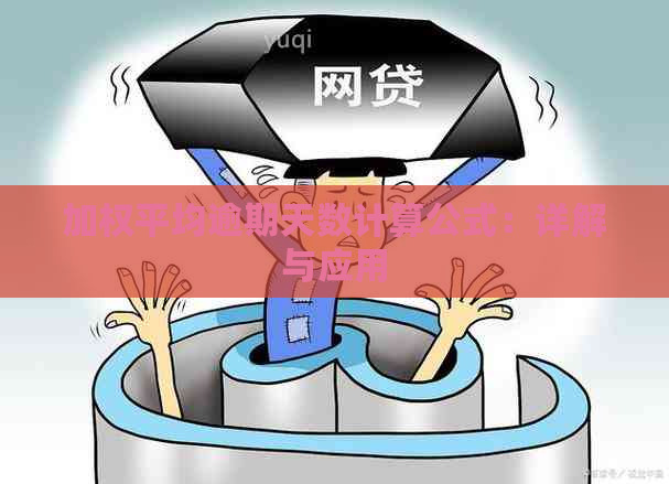 加权平均逾期天数计算公式：详解与应用