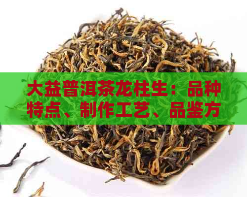 大益普洱茶龙柱生：品种特点、制作工艺、品鉴方法及适合的饮用场景一文解析