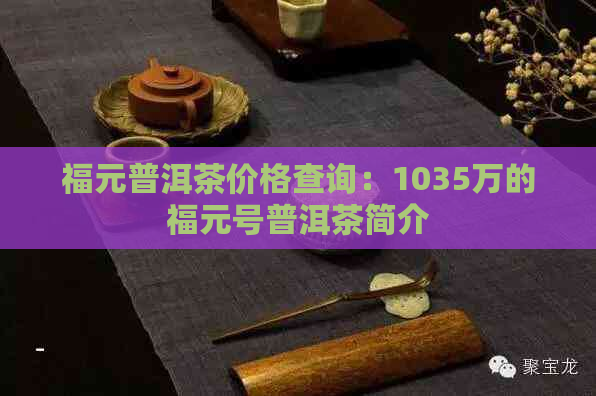 福元普洱茶价格查询：1035万的福元号普洱茶简介