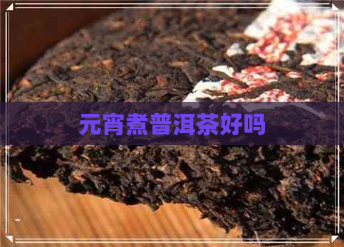 元宵煮普洱茶好吗