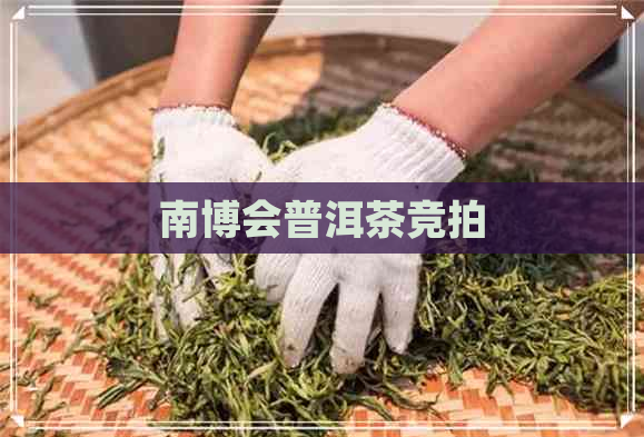 南博会普洱茶竞拍