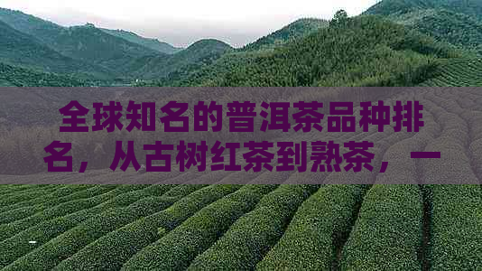 全球知名的普洱茶品种排名，从古树红茶到熟茶，一网打尽！