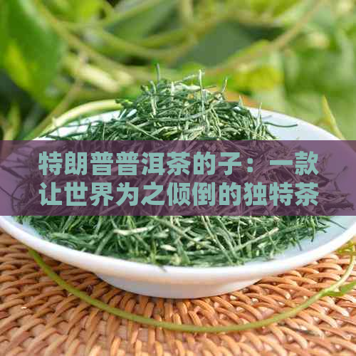 特朗普普洱茶的子：一款让世界为之倾倒的独特茶品