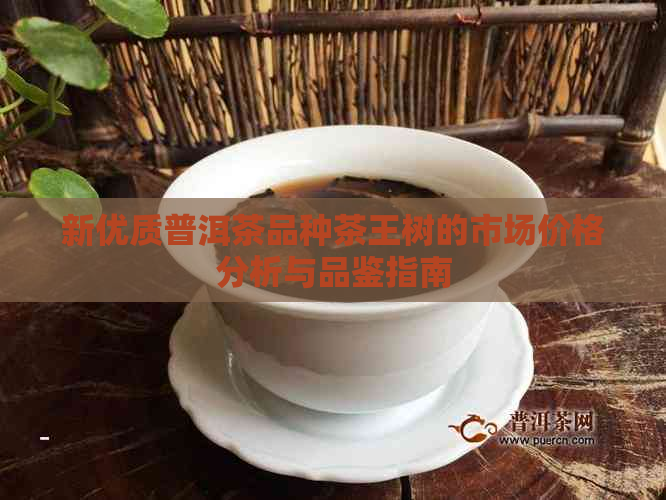 新优质普洱茶品种茶王树的市场价格分析与品鉴指南