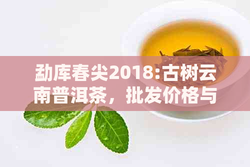 勐库春尖2018:古树云南普洱茶，批发价格与品质的完美结合