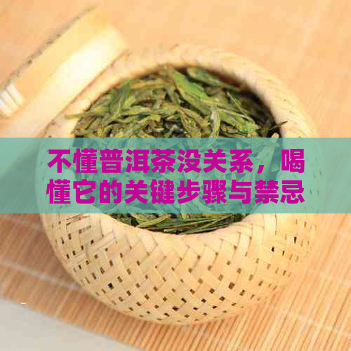 不懂普洱茶没关系，喝懂它的关键步骤与禁忌