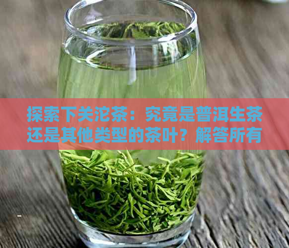 探索下关沱茶：究竟是普洱生茶还是其他类型的茶叶？解答所有疑问