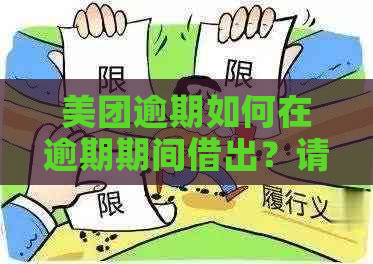 美团逾期如何在逾期期间借出？请提供相关建议。