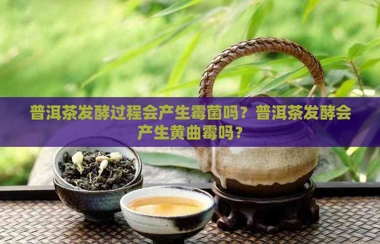 普洱茶发酵过程会产生霉菌吗？普洱茶发酵会产生黄曲霉吗？