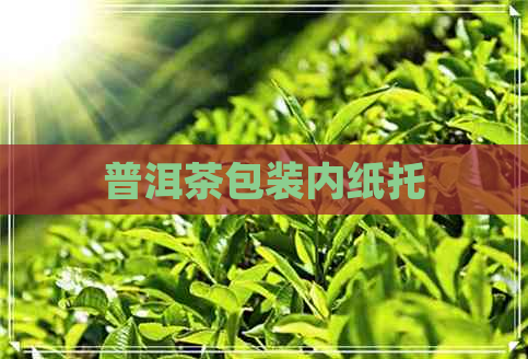 普洱茶包装内纸托