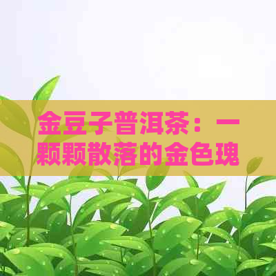 金豆子普洱茶：一颗颗散落的金色瑰宝，一种独特的饮茶体验