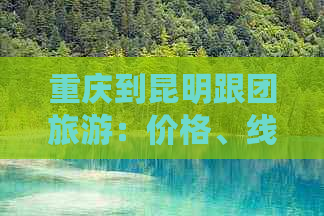 重庆到昆明跟团旅游：价格、线路、行程、景点、住宿全解析