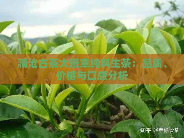 澜沧古茶大班章纯料生茶：品质、价格与口感分析