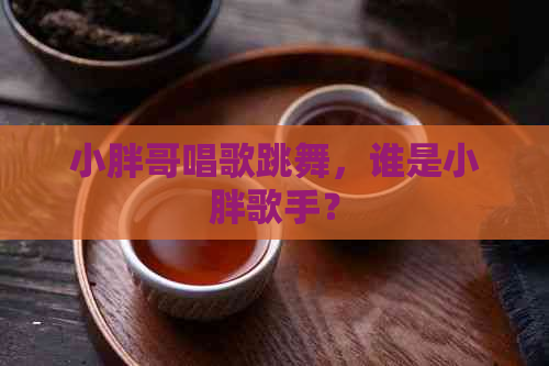 小胖哥唱歌跳舞，谁是小胖歌手？