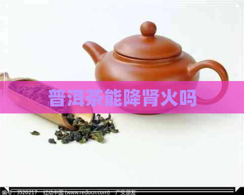 普洱茶能降肾火吗