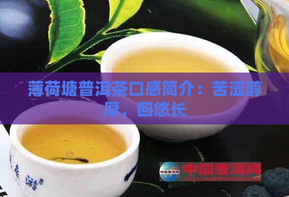 薄荷塘普洱茶口感简介：苦涩醇厚，回悠长