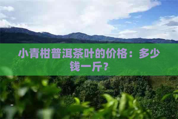 小青柑普洱茶叶的价格：多少钱一斤？