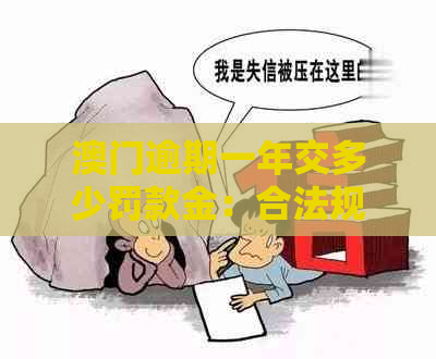 逾期一年交多少罚款金：合法规定、罚款方式及缴纳地点，逾期是否入狱？