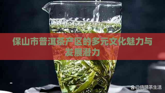 保山市普洱茶产区的多元文化魅力与发展潜力