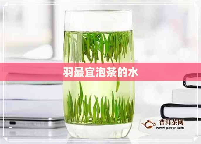 羽最宜泡茶的水