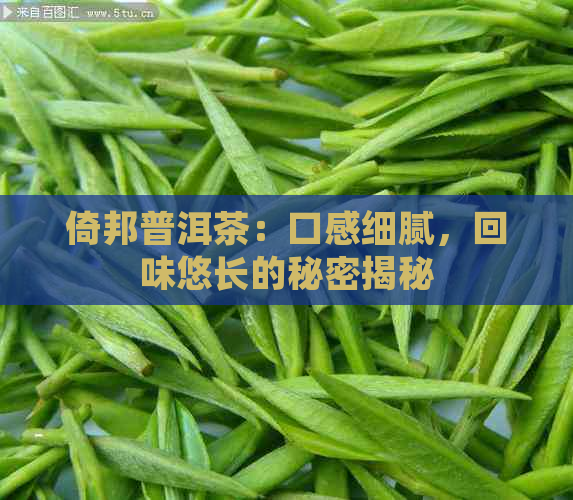 倚邦普洱茶：口感细腻，回味悠长的秘密揭秘