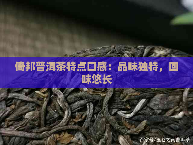 倚邦普洱茶特点口感：品味独特，回味悠长