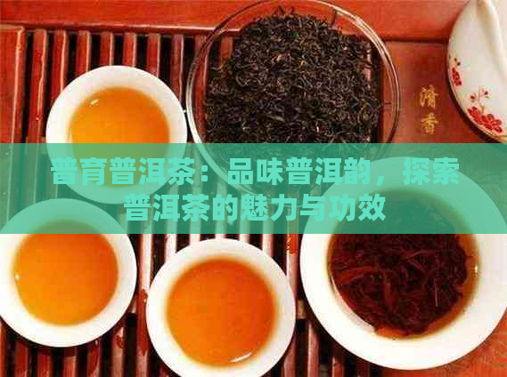 普育普洱茶：品味普洱韵，探索普洱茶的魅力与功效