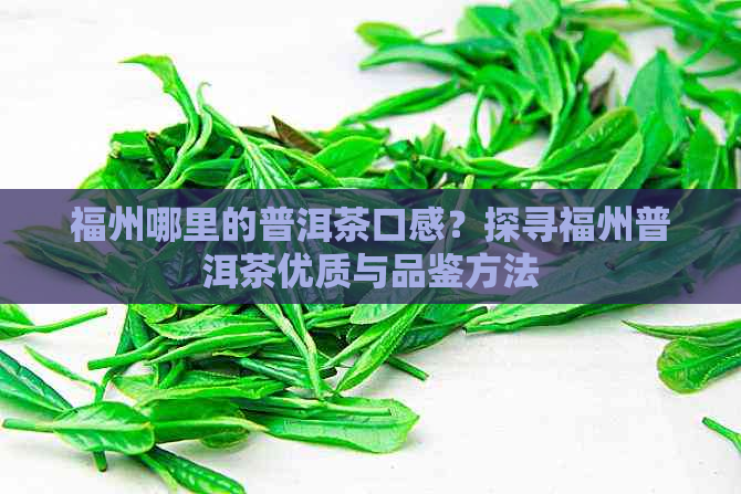 福州哪里的普洱茶口感？探寻福州普洱茶优质与品鉴方法