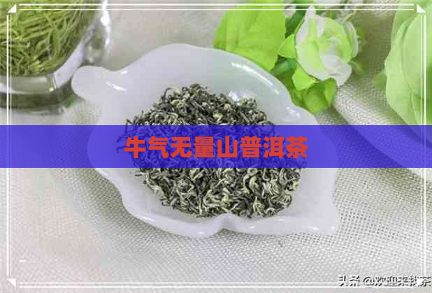 牛气无量山普洱茶