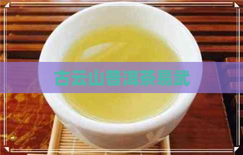 古云山普洱茶易武